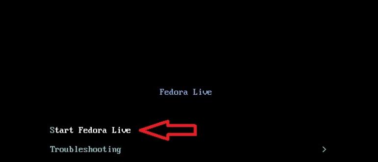 Как устанавливать программы в Fedora Выбор пакетов и их установка