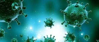 How to fight viruses in the body with folk remedies